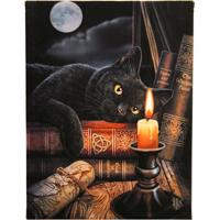 Obraz na plátně s kočkou a knihami - design Lisa Parker