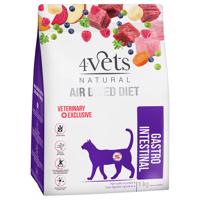4Vets Natural Feline Gastro Intestinal  - výhodné balení: 2 x 1 kg