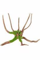 Akvarijní dekorace Kipouss Pavoučí kořen M Zolux sleva 10%