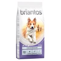 Briantos, 14 kg - 10 % sleva - Adult Active