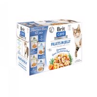 Brit Care Cat Flavour box filety v želé 24x85g