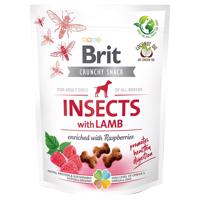 Brit Care Crunchy Cracker Insects, Lamb & Raspberries - 200 g
