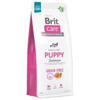 BRIT Care Dog Grain-free Puppy Salmon 12kg