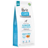 Brit Care Grain Free Junior Large Breed Salmon & Potato - 2 x 12 kg