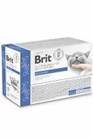 Brit VD Cat Pouch fillets in Gravy Recovery 12x85g 4 + 1 zdarma