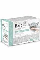 Brit VD Cat Pouch fillets in Gravy Urinary+Stres12x85g 4 + 1 zdarma