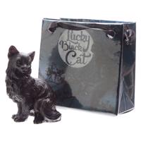 Černá kočka pro štěstí v dárkové minitaštičce Číslo: 3