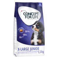 Concept for Life, 1 kg / 1,5 kg - 15 % sleva - X-Large Junior (1,5 kg)