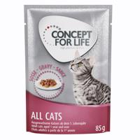 Concept for Life Indoor Cats - Vylepšená receptura! - Nový doplněk: 12 x 85 g Concept for Life All Cats v omáčce