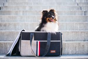 Elma cestovní taška pro psa | do 4 Kg Barva: Černá, Dle váhy psa: do 3 kg