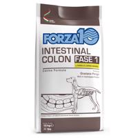 Forza 10 Intestinal Colon Phase 1 s jehněčím - výhodné balení: 2 x 10 kg