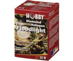 HOBBY Diamond Halogen Floodlight 50 W