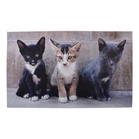 Kobereček / rohožka se 3 kočkami