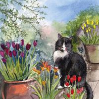 Přání s kočkou a tulipány - design Alex Clark