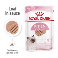 ROYAL CANIN KITTEN kapsička pěna pro koťata 12 × 85 g