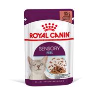 Royal Canin Sensory Feel v omáčce - 12 x 85 g