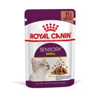Royal Canin Sensory Smell v omáčce - 12 x 85 g