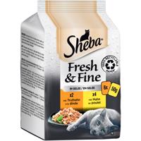 Sheba Fresh & Fine kapsičky 6 x 50 g - krocaní a kuřecí v želé