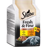Sheba Fresh & Fine v omáčce kuře a krocan 72 × 50 g