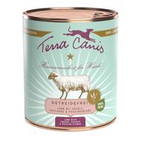Terra Canis bez obilnin 6 x 800 g - Jehněčí s dýní, pastinákem a marakujou
