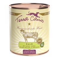 Terra Canis CLASSIC telecí maso s jáhlami, okurkou a melounem 12 × 800 g