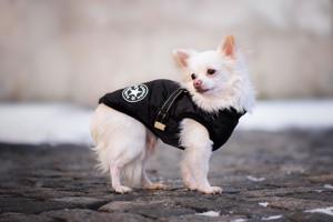 Vsepropejska Achar zimní bunda pro psa s postrojem Barva: Černá, Délka zad (cm): 38, Obvod hrudníku: 49 - 53 cm