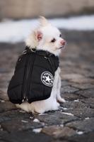 Vsepropejska Achar zimní bunda pro psa s postrojem Barva: Černá, Délka zad (cm): 42, Obvod hrudníku: 54 - 58 cm