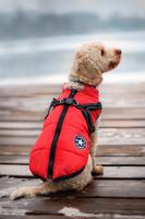 Vsepropejska Achar zimní bunda pro psa s postrojem Barva: Červená, Délka zad (cm): 34, Obvod hrudníku: 45 - 49 cm
