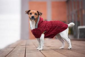 Vsepropejska Argo zateplený svetr pro psa Barva: Vínová, Délka zad (cm): 21, Obvod hrudníku: 30 - 40 cm