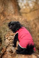 Vsepropejska Celine zimní bunda pro psa Barva: Vínová, Délka zad (cm): 23, Obvod hrudníku: 26 - 28 cm
