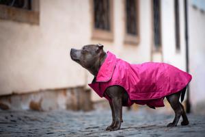 Vsepropejska Dasty bunda pro psa s reflexními prvky Barva: Vínová, Délka zad (cm): 44, Obvod hrudníku: 56 - 68 cm