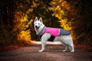 Vsepropejska Fogy stylová bunda pro psa Barva: Růžová, Délka zad (cm): 26, Obvod hrudníku: 34 - 40 cm