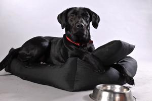 Vsepropejska Lux nadýchaný pelech pro psa Barva: Černá, Rozměr (cm): 130 x 110