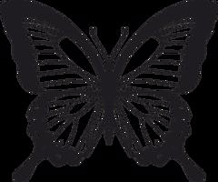 Vsepropejska Motýl dekorace na zeď 5 Rozměr (cm): 38 x 32, Dekor: Černá