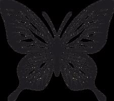 Vsepropejska Motýl dekorace na zeď 7 Rozměr (cm): 38 x 34, Dekor: Černá