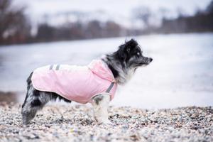 Vsepropejska Roy reflexní pláštěnka pro psa Barva: Růžová, Délka zad (cm): 37, Obvod hrudníku: 48 - 52 cm
