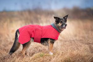 Vsepropejska Servác zateplená bunda pro psa Barva: Červená, Délka zad (cm): 53, Obvod hrudníku: 76 - 84 cm