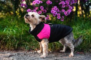 Vsepropejska Slim-rainy obleček pro psa na zip Barva: Černo-růžová, Délka zad (cm): 57, Obvod hrudníku: 73 - 78 cm