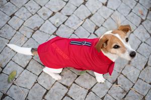 Vsepropejska Snowy zimní bunda „My friend“ pro psa Barva: Červená, Délka zad (cm): 28, Obvod hrudníku: 30 - 52 cm