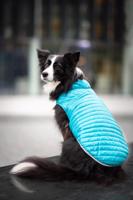 Vsepropejska Sonda oboustranná bunda pro psa Barva: Modrá, Délka zad (cm): 25, Obvod hrudníku: 32 - 44 cm