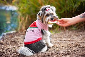 Vsepropejska Tyras letní tričko pro psa Barva: Růžová, Délka zad (cm): 33, Obvod hrudníku: 42 - 50 cm