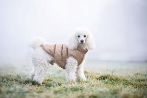 Vsepropejska Warm zimní bunda pro psa s kožichem Barva: Béžová, Délka zad (cm): 24, Obvod hrudníku: 24 - 34 cm