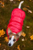 Vsepropejska Warm zimní bunda pro psa s kožichem Barva: Červená, Délka zad (cm): 44, Obvod hrudníku: 50 - 62 cm