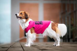 Vsepropejska Zala letní tričko pro psa Barva: Růžová, Délka zad (cm): 23, Obvod hrudníku: 28 - 34 cm