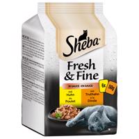 Výhodné balení 72 x 50 g Sheba Fresh & Fine - kuřecí a krůtí v omáčce