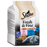 Výhodné balení 72 x 50 g Sheba Fresh & Fine - rybí variace