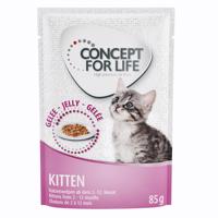 Výhodné balení Concept for Life 24 x 85 g - Kitten - v želé