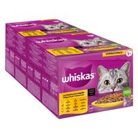 Výhodné balení Whiskas 1+ kapsičky 96 x 85 / 100 g - drůbeží výběr v omáčce (96 x 85g) - Kuře, drůbež, kachna, krůta