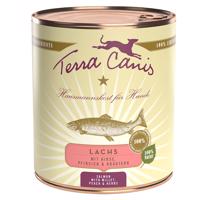 12 x 800 g Výhodné balení Terra Canis - losos s prosem, broskví a bylinkami