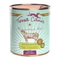 12 x 800 g Výhodné balení Terra Canis Sensitive - Telecí s petrželí, mangem & rybízem